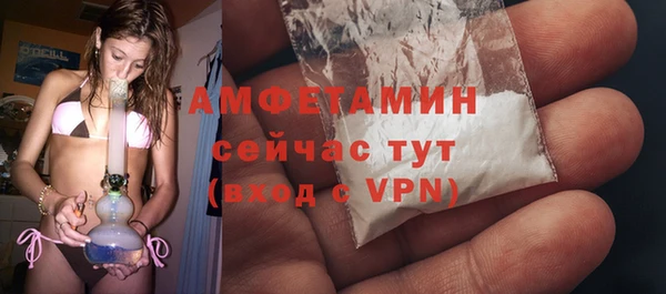 прущий лед Инсар