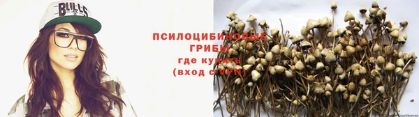 спайс Зеленодольск