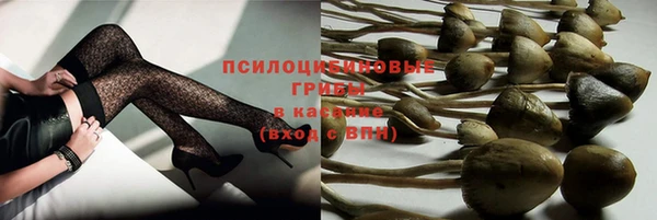 скорость Зерноград