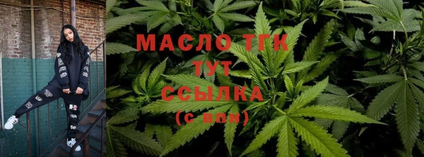 прущий лед Инсар