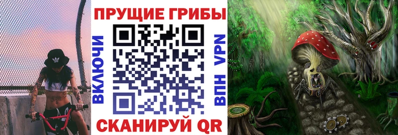 Галлюциногенные грибы мицелий Верхний Тагил
