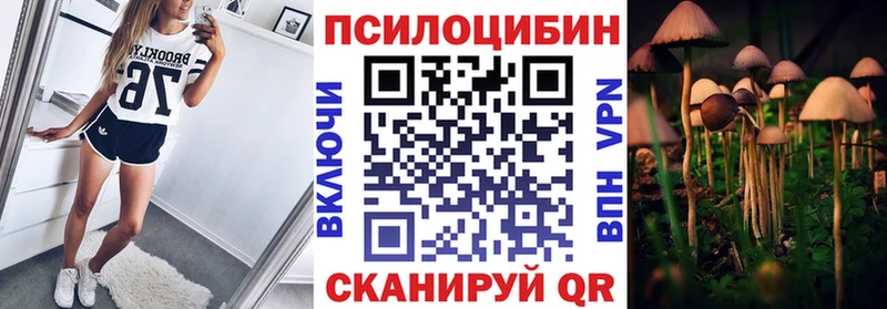 Купить закладки Верхний Тагил Галлюциногенные грибы мухоморы